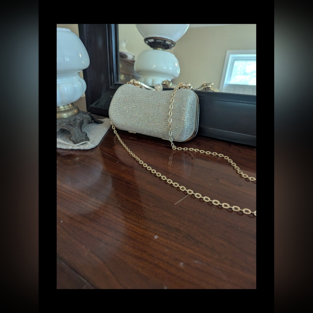 Evening Clutch Purse